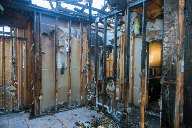 Professional Odor Removal technician working in Graham, TX